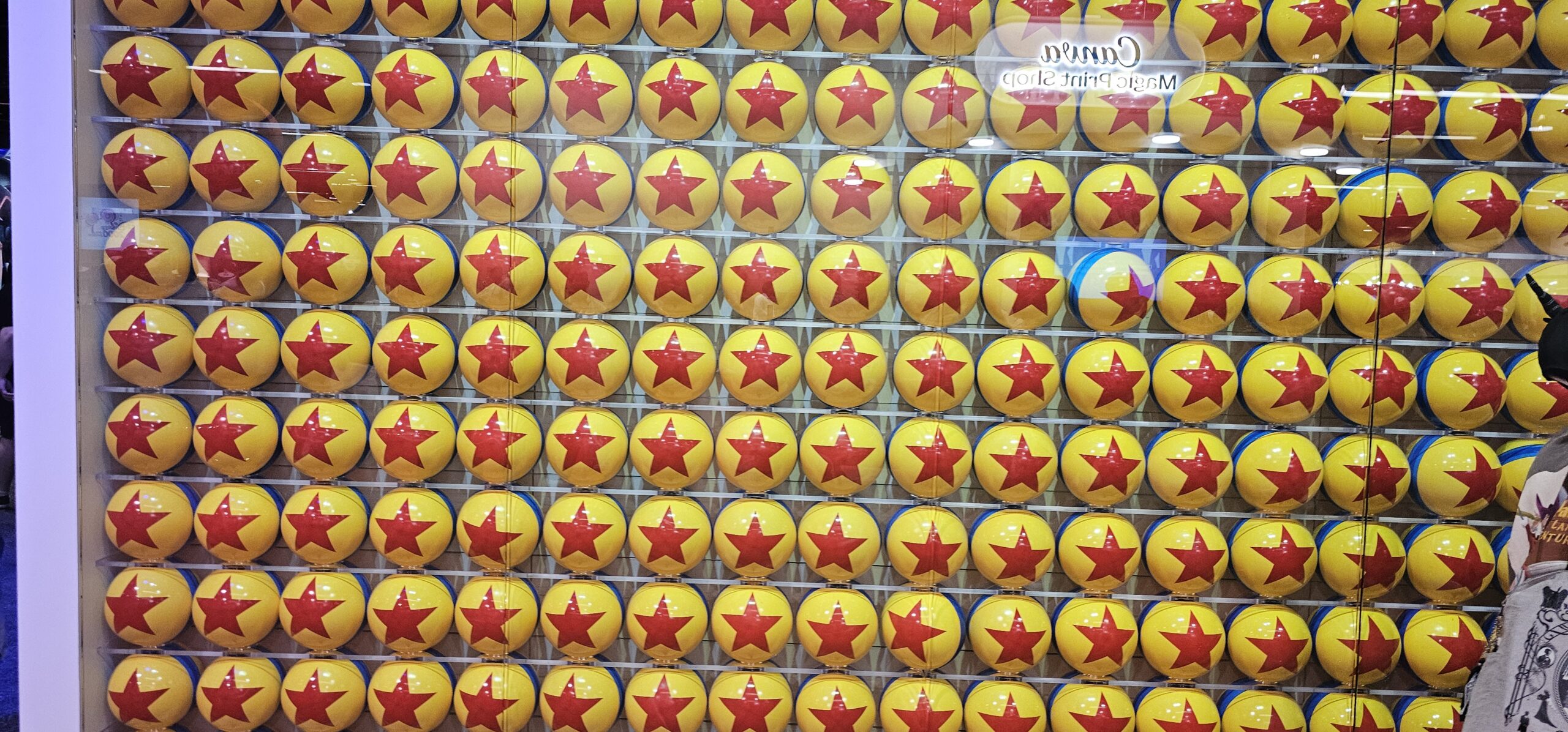 D23 trip photo 7