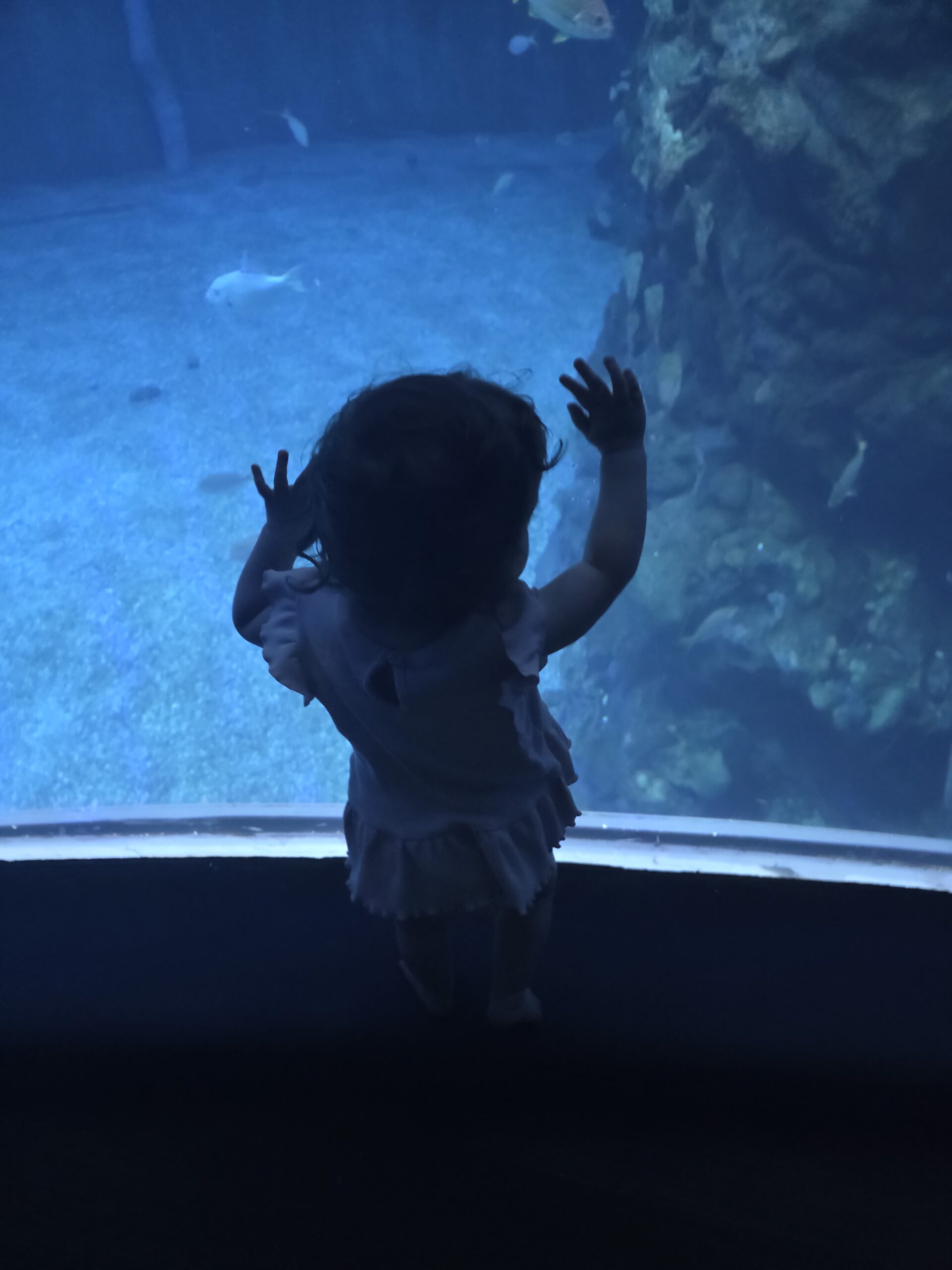 Disney World trip photo 7