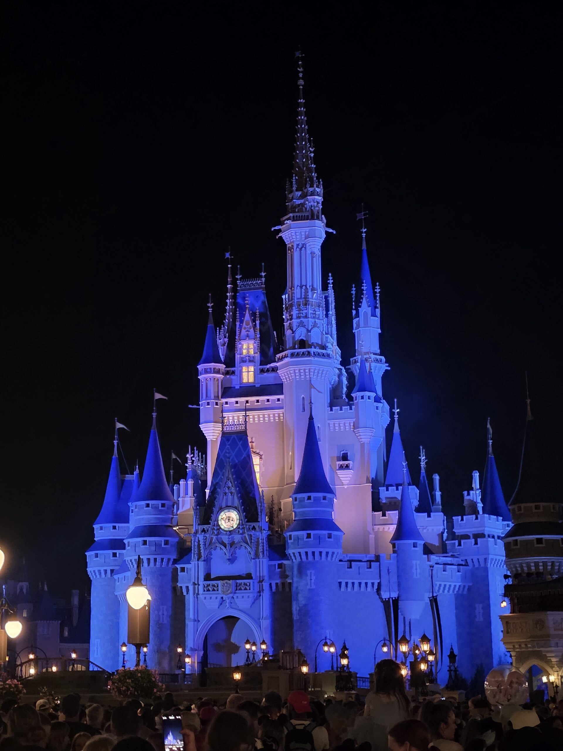 Disney World trip photo 10