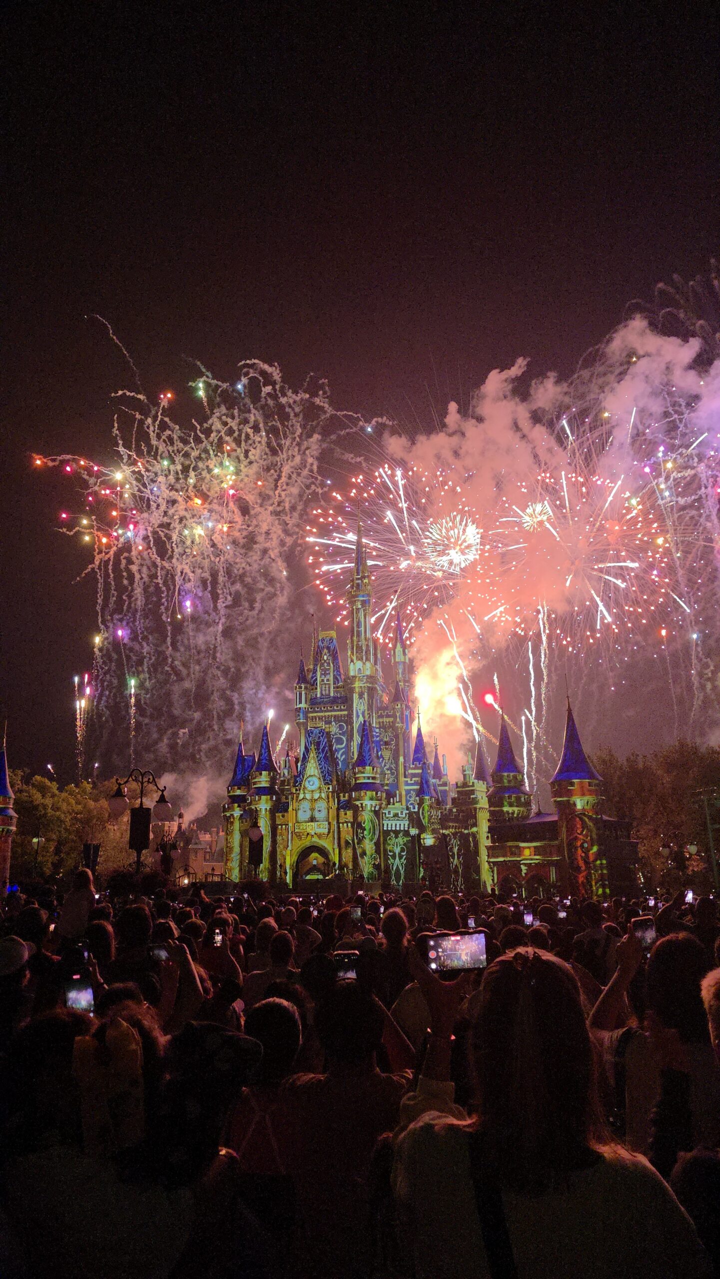 Disney World trip photo 12