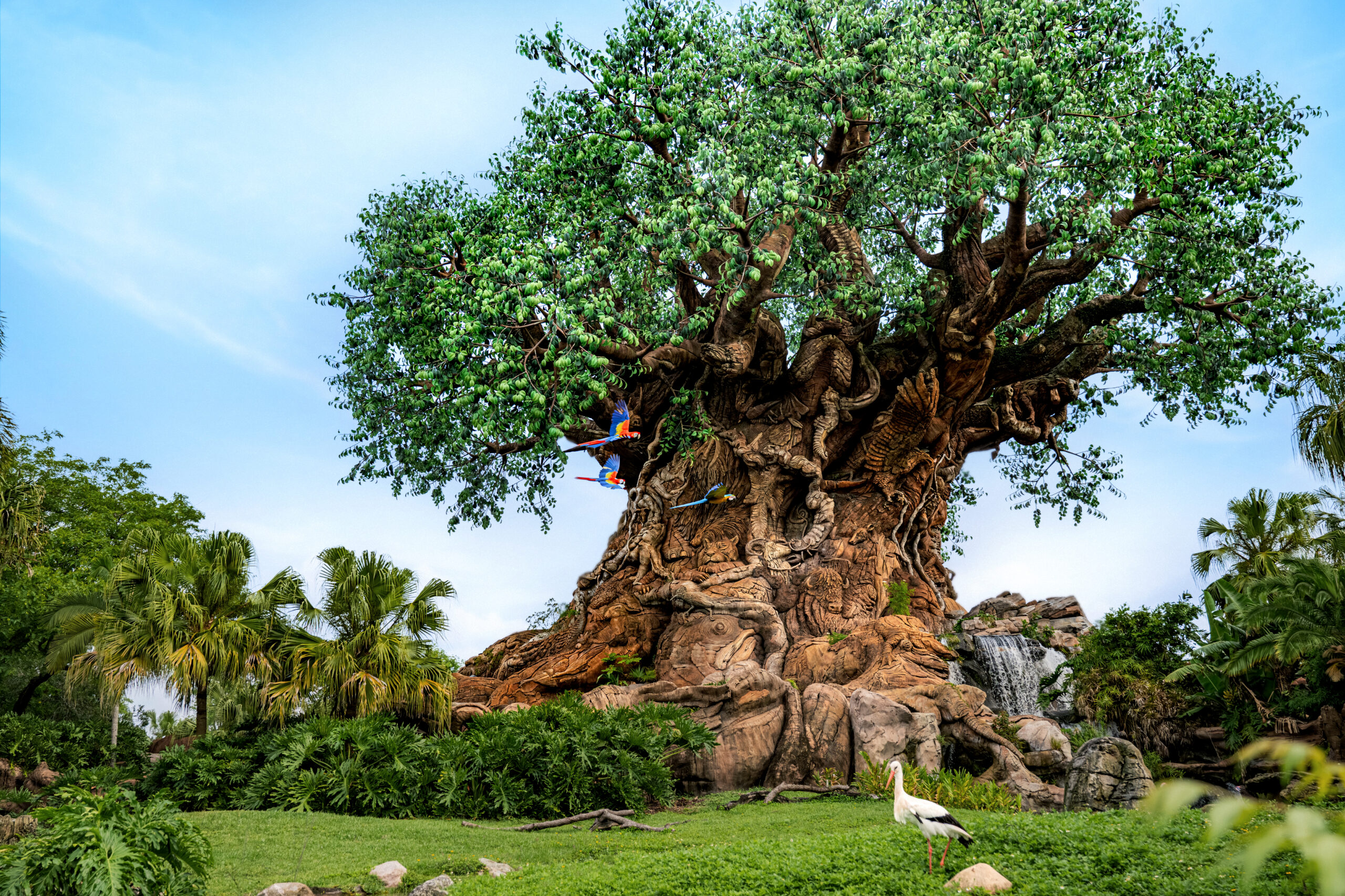 Disney's Animal Kingdom Theme Park