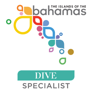 Dive travel logo