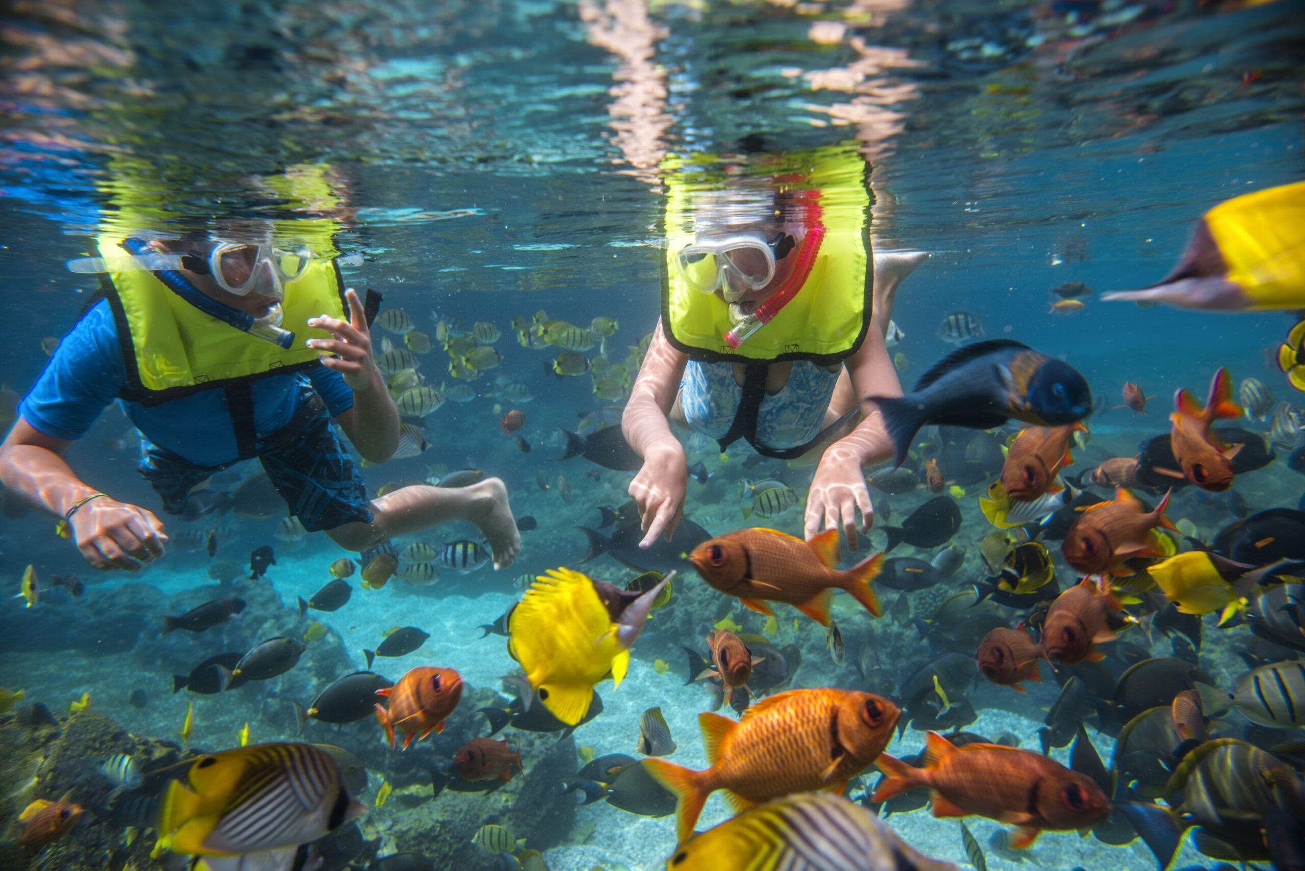 Aulani, A Disney Resort & Spa — Activities & Water Fun photo 2